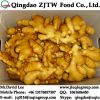 250G Ginger For Sale, Export To Canada And USA Market