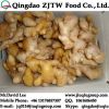 Dry Ginger Price From China