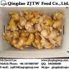 Dry Ginger Price From China