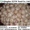 Fresh Garlic 5.5CM For USA Market, Purple Garlic &amp; White Garlic 5PCS