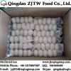 Fresh Garlic 5.5CM For USA Market, Purple Garlic &amp; White Garlic 5PCS