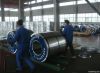 PPGI / Prepainted Galvanized Steel Coil