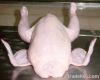 Whole Frozen Chicken A...