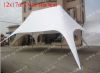 Custom printing 12x17m Twin star tent used for club (0.29cbm/110kgs)