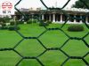 Hexagonal Wire Mesh