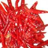 Dry Red Chili