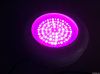 Led Grow Light  (90 w ...