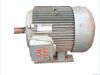 Three Phase Induction Motor