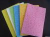 cellulose sponge foam