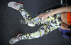 Women Yoga Trouser for Sport Wear