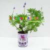 DIY can plant magic pl...