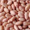 Groundnuts Kernels / P...