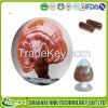 2014 hot sale ganoderma lucidum , ganoderma lucidum extract , ganoderma extract