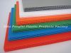 Twin Wall PP Sheet/Twi...