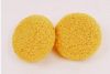 Bath Sponge