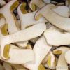 Boletus Edulis elite q...