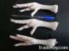 Export Chicken Paw | C...