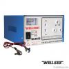 power converter Hubei Wellsee WS-M150 150W