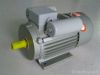 YCL single phase motor