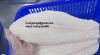 pangasius fillet