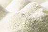 Premium Milk Powder