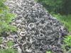 Scrap Tyre/Tire