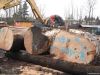 Sitka Spruce Logs