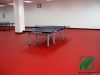 Super Durable Table Te...