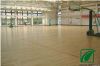 baskeball sports pvc floor