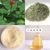 Ginseng extract-ginsenoside