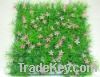Artifical Grass Mat wi...