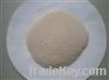 Bacillus Licheniformis