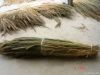 Grass Broom (Raw mater...