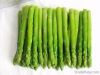 Frozen Fresh Green Asparagus