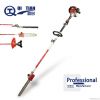 POLE CHAIN SAW, POLE P...