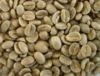 Export Arabica Coffee ...