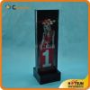 Black Acrylic Trophy W...