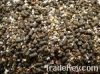 vermiculite