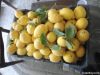 Fresh Lemons