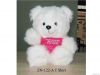 Bear 122A