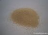 Feed Yeast