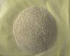 yeast powder