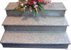 Granite Stairscase, Step