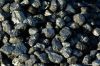 low price steam coal,b...