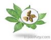 export Notoginseng Tri...