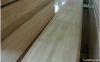 Paulownia/fir/pine finger joint board