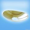 DR01   Dental Glass Reflector      150x110mm