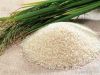 RICE SUPPLIER| PARBOILED RICE IMPORTERS| IMPORT BASMATI RICE|  BASMATI RICE EXPORTER| KERNAL RICE WHOLESALER| WHITE RICE MANUFACTURER| LONG GRAIN TRADER| BROKEN RICE BUYER| BUY KERNAL RICE| WHOLESALE WHITE RICE| LOW PRICE LONG GRAIN