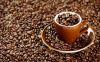 coffe arabica
