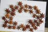 Star anise in autumn crop